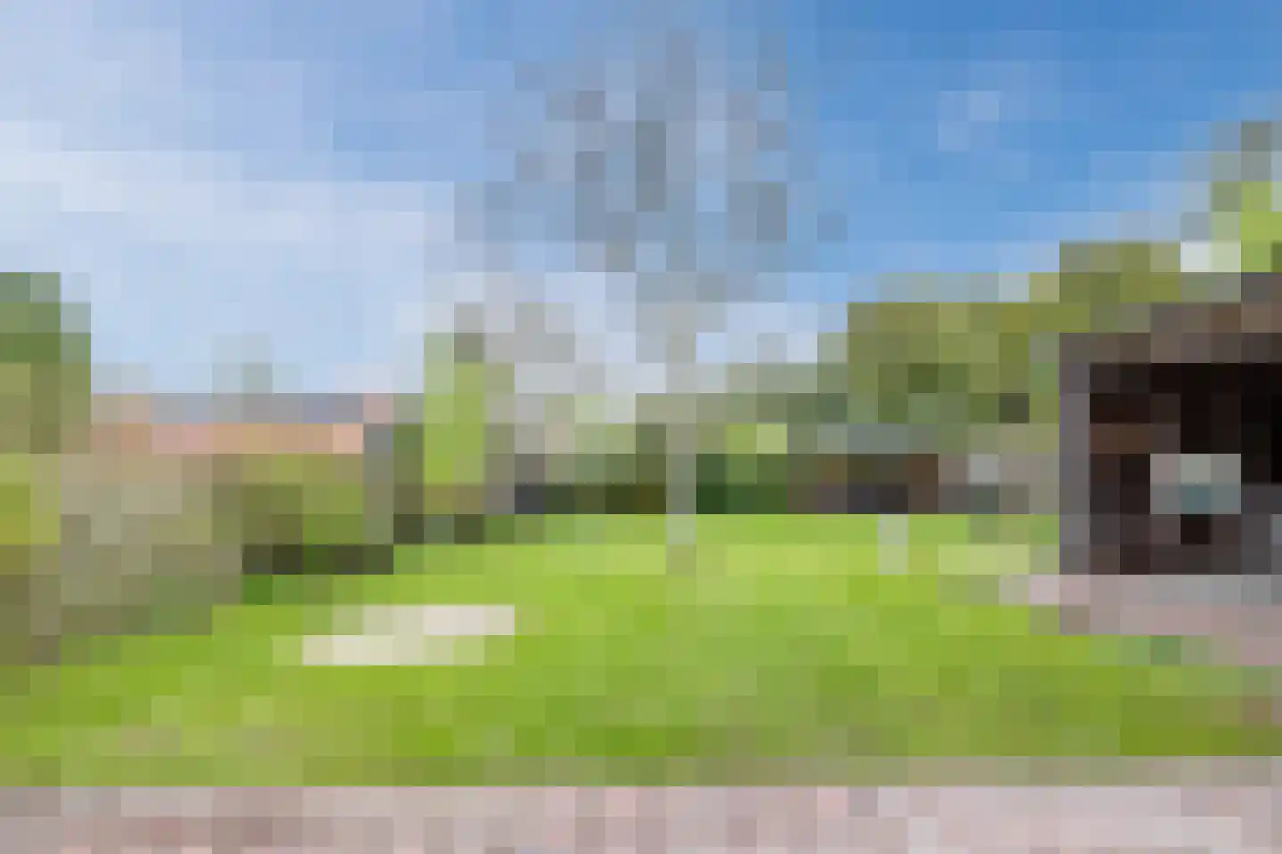 Havenstraat 94 Noordbroek thumbnail 39