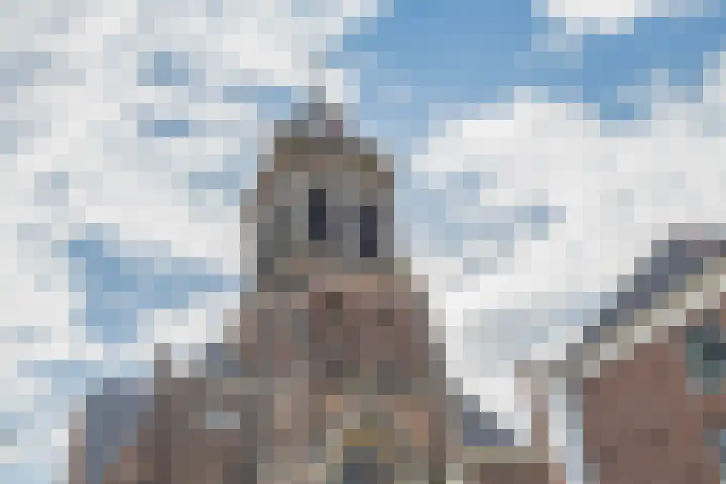 Havenstraatse Wal 12 Schoonhoven thumbnail 34