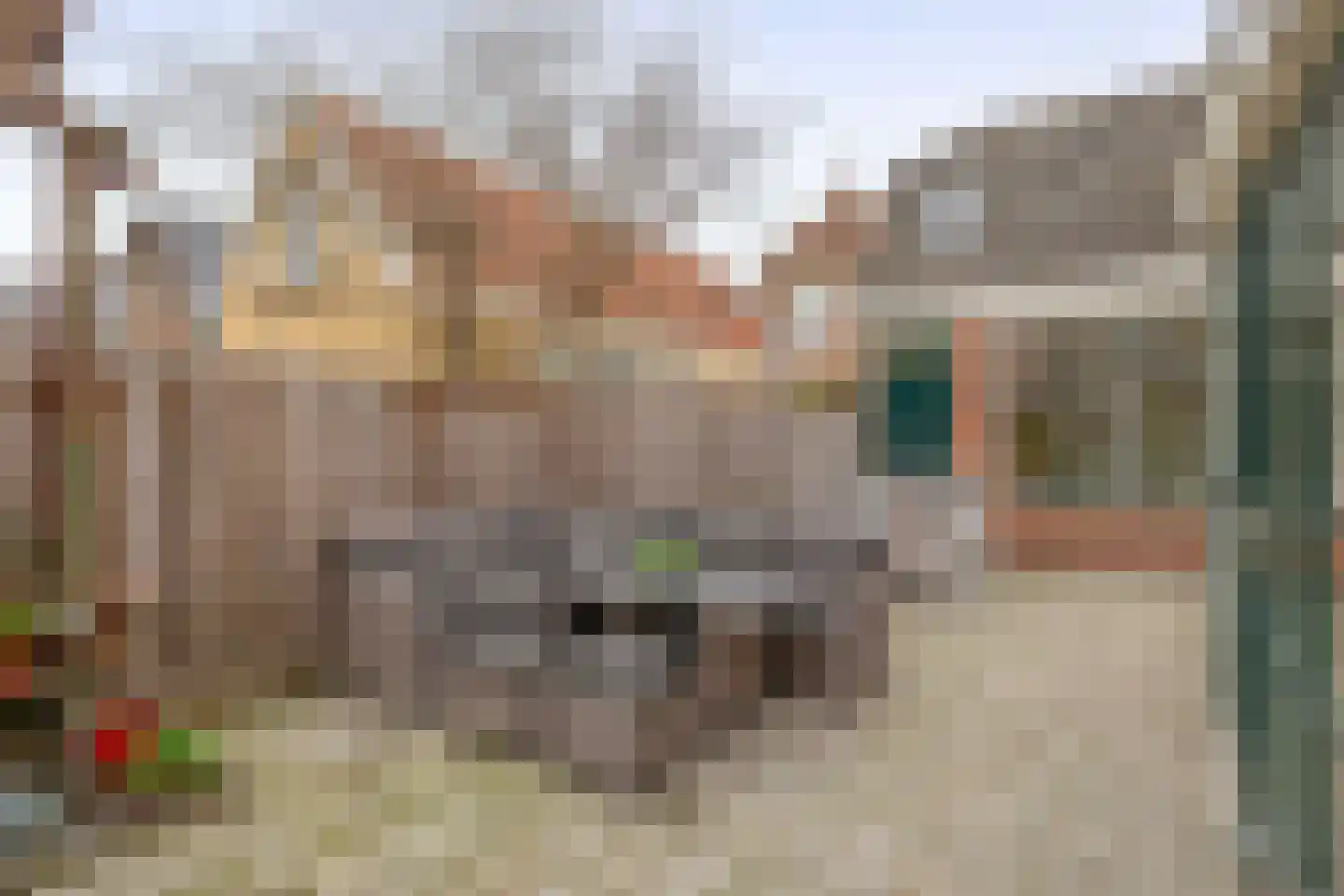 Havenstraatse Wal 15 Schoonhoven thumbnail 27