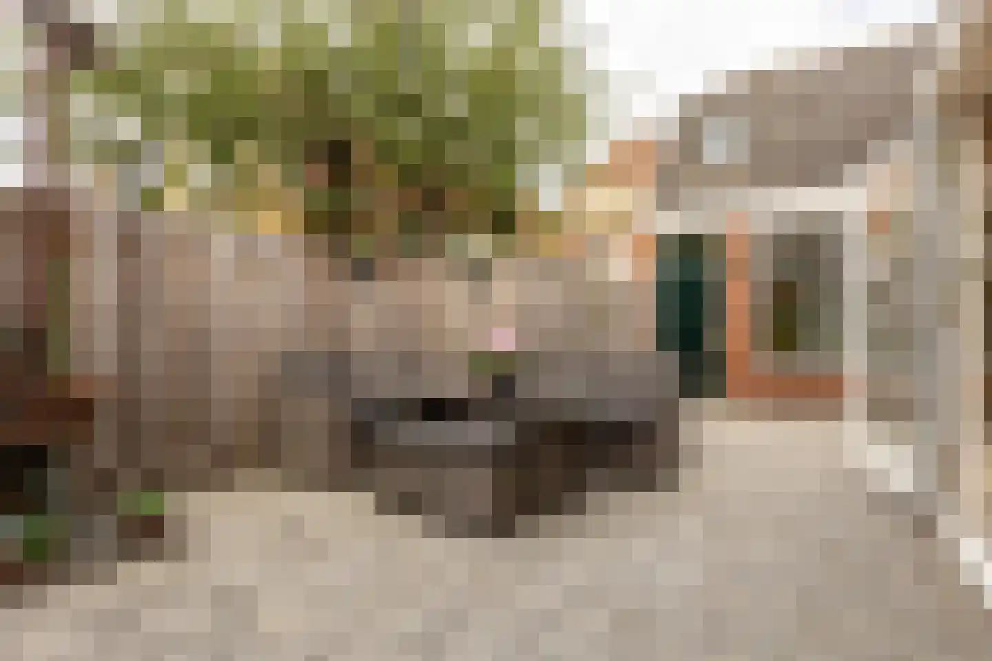Havenstraatse Wal 15 Schoonhoven thumbnail 46