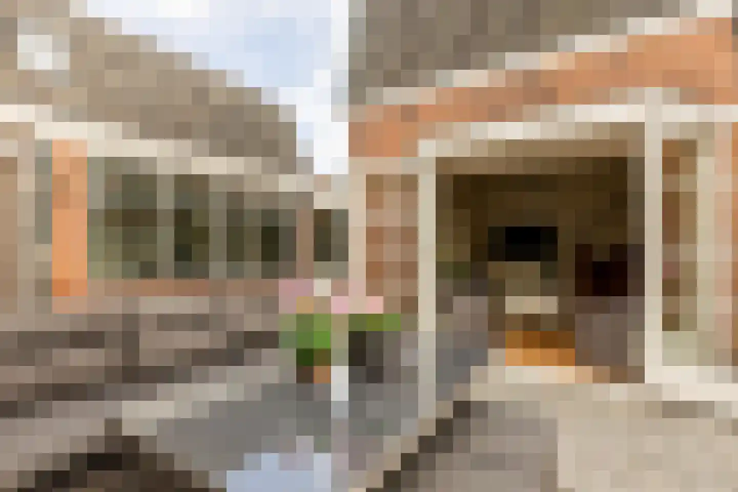 Havenstraatse Wal 15 Schoonhoven thumbnail 49