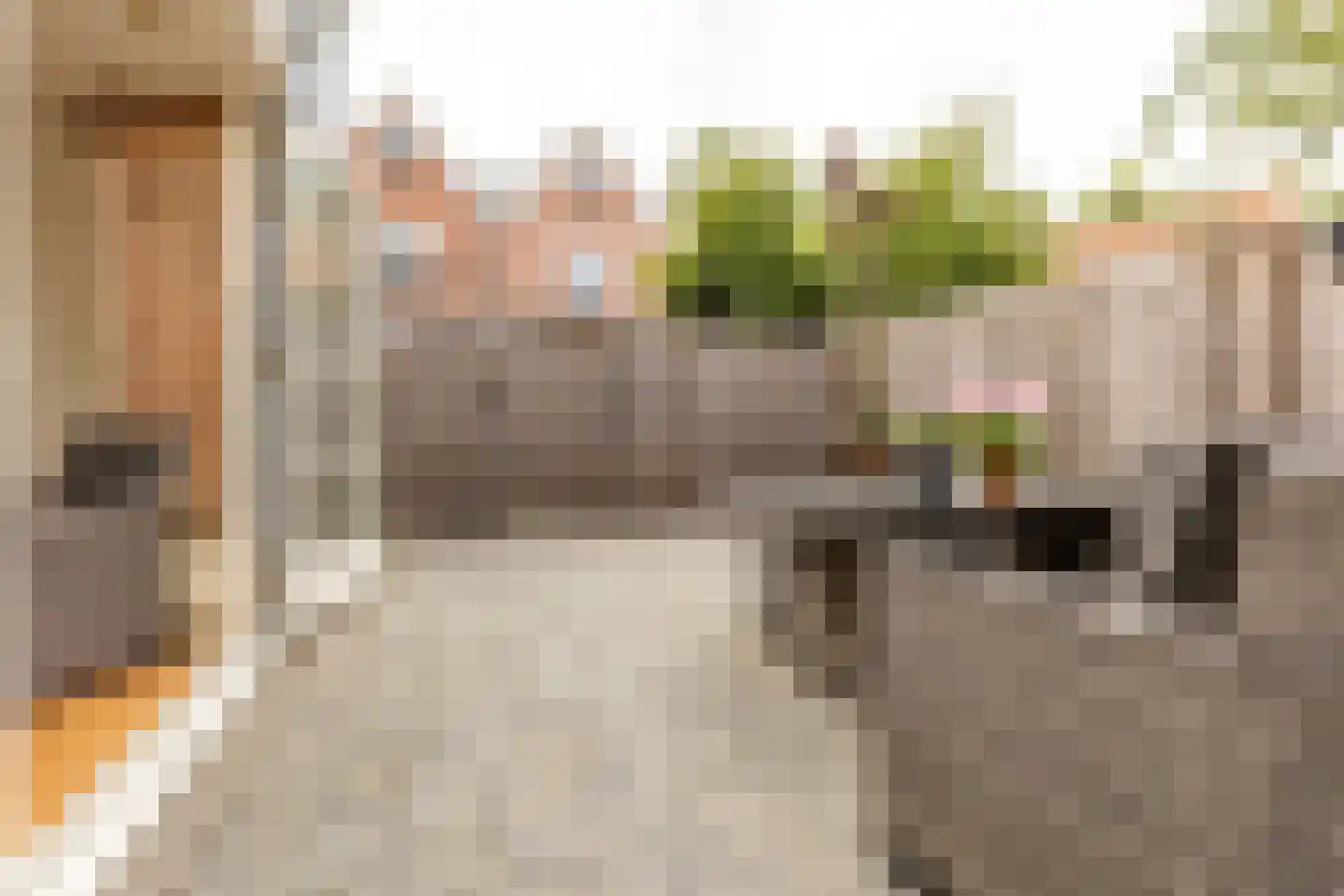 Havenstraatse Wal 15 Schoonhoven thumbnail 53