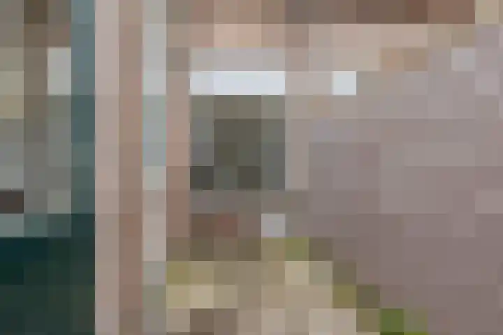 Havenstraatse Wal 27 Schoonhoven thumbnail 29