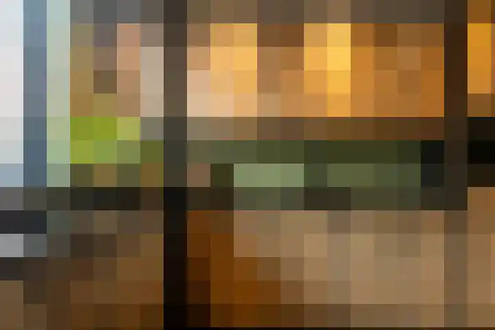 Havenstraatse Wal 36 Schoonhoven thumbnail 20