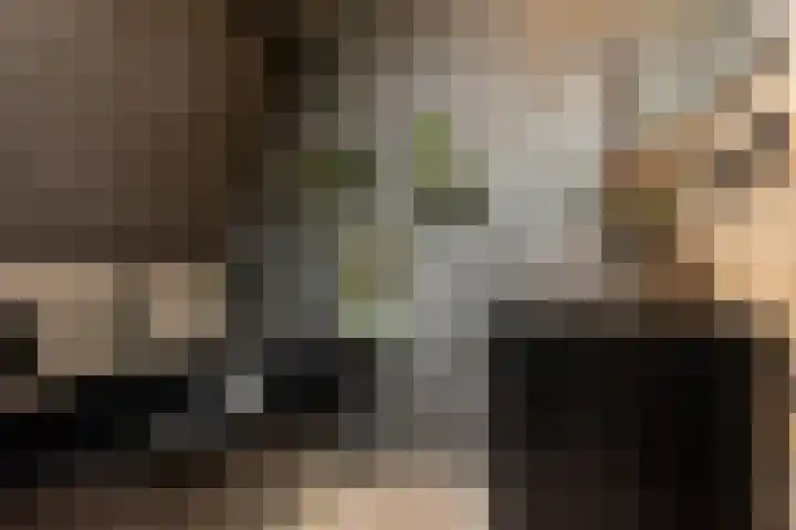 Havenstraatse Wal 36 Schoonhoven thumbnail 33
