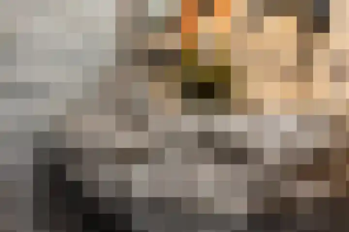 Havenstraatse Wal 36 Schoonhoven thumbnail 36
