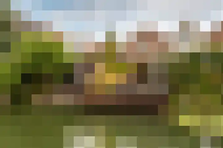 Havenstraatse Wal 36 Schoonhoven thumbnail 58