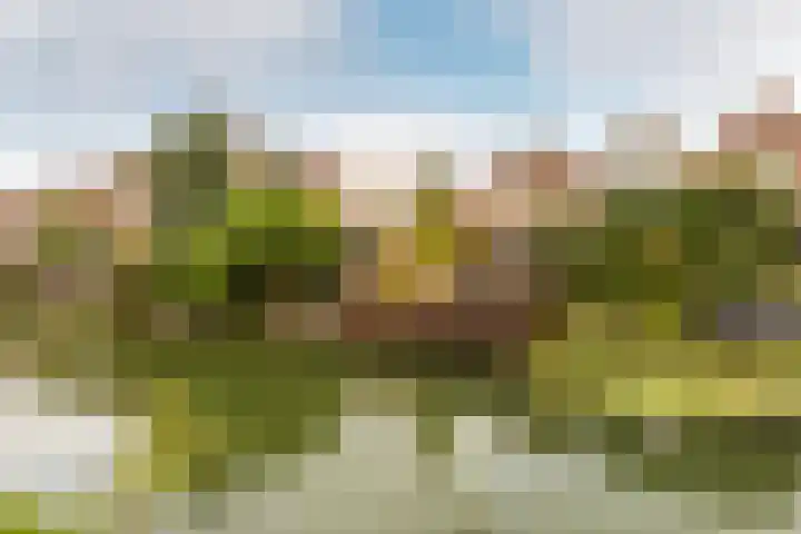 Havenstraatse Wal 36 Schoonhoven thumbnail 60