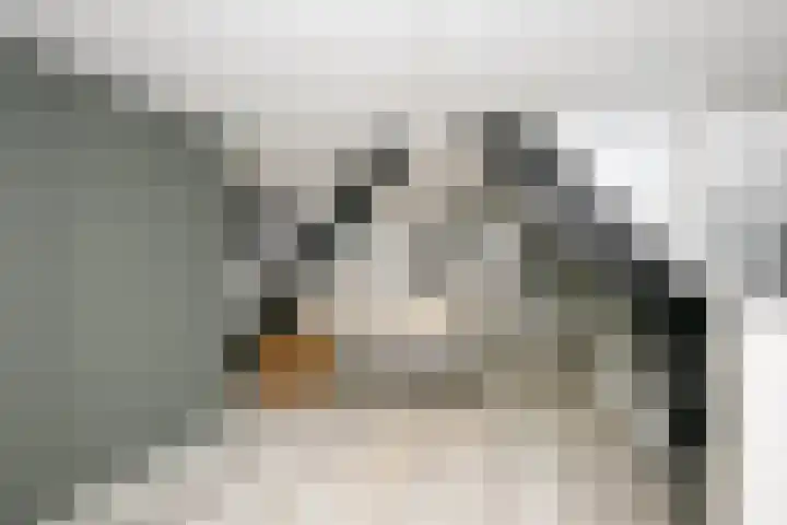Havenstraatse Wal 56 Schoonhoven thumbnail 23