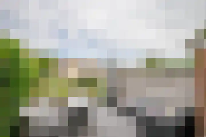 Havenstraatse Wal 56 Schoonhoven thumbnail 29