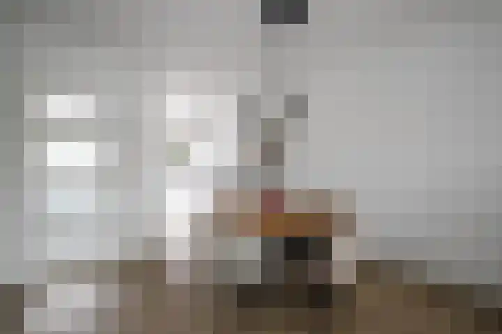 Havenstraatse Wal 56 Schoonhoven thumbnail 8