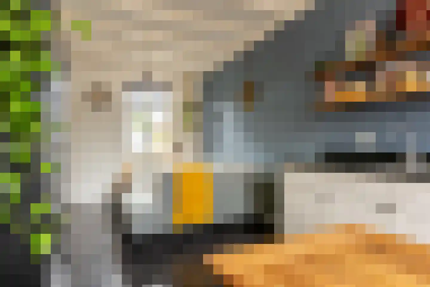Havenstraatse Wal 8 Schoonhoven thumbnail 10