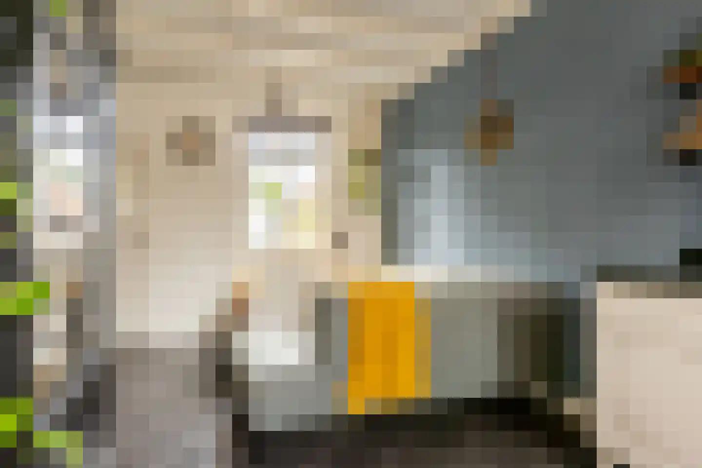 Havenstraatse Wal 8 Schoonhoven thumbnail 11
