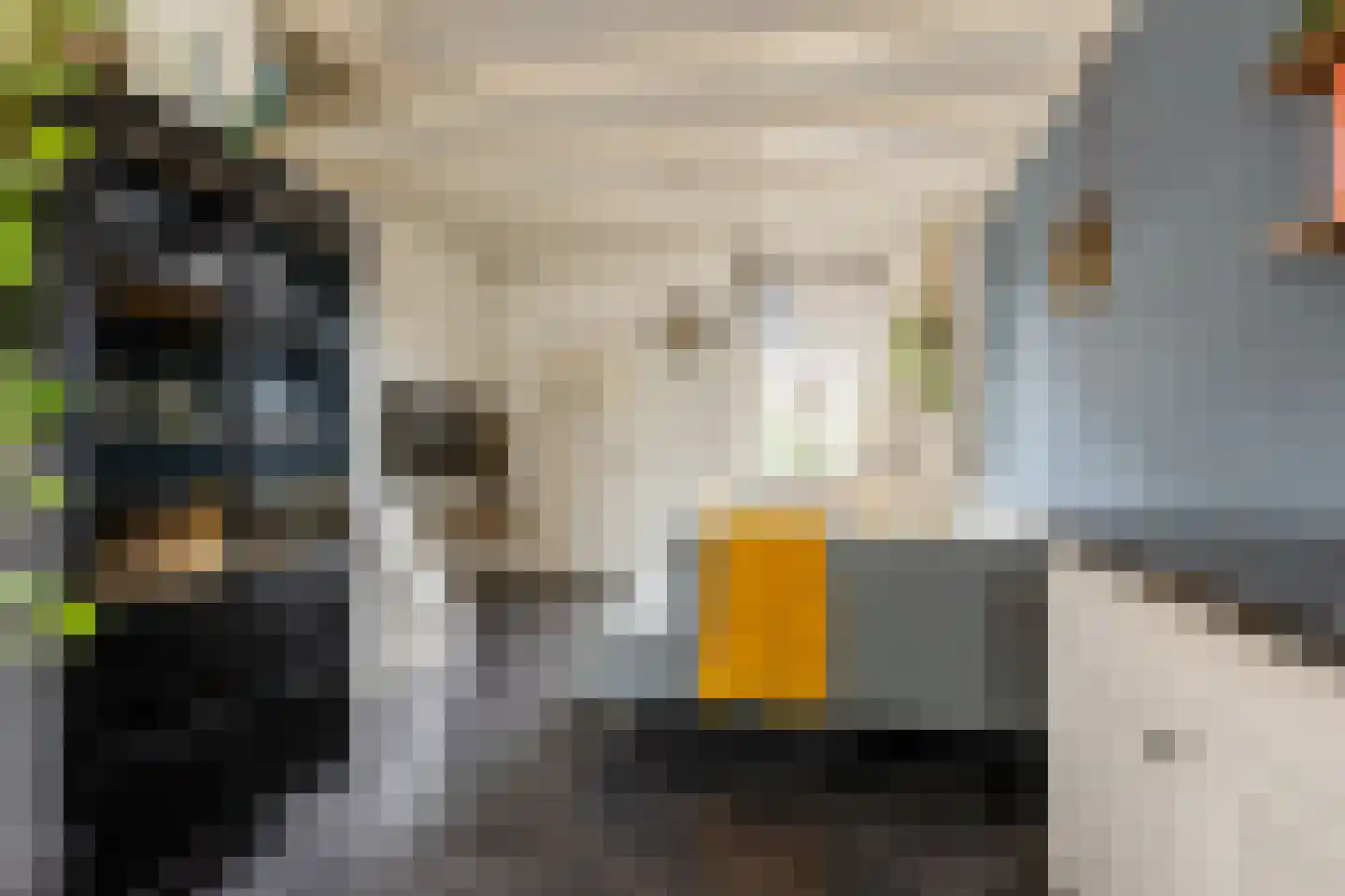 Havenstraatse Wal 8 Schoonhoven thumbnail 12