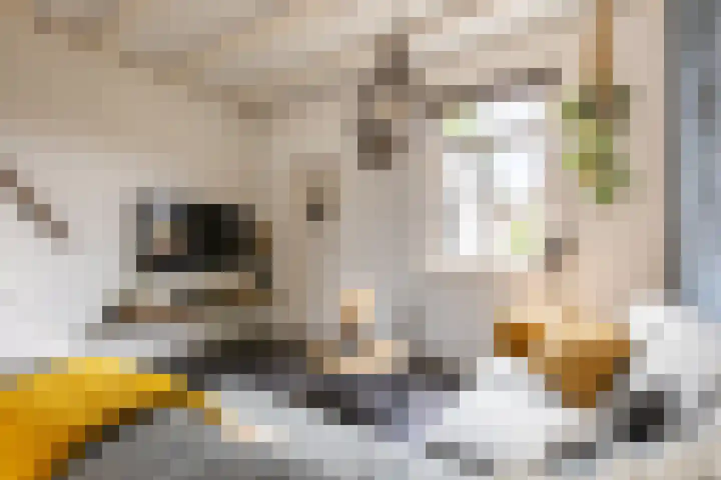 Havenstraatse Wal 8 Schoonhoven thumbnail 13