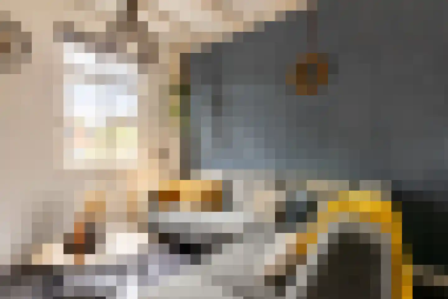 Havenstraatse Wal 8 Schoonhoven thumbnail 14