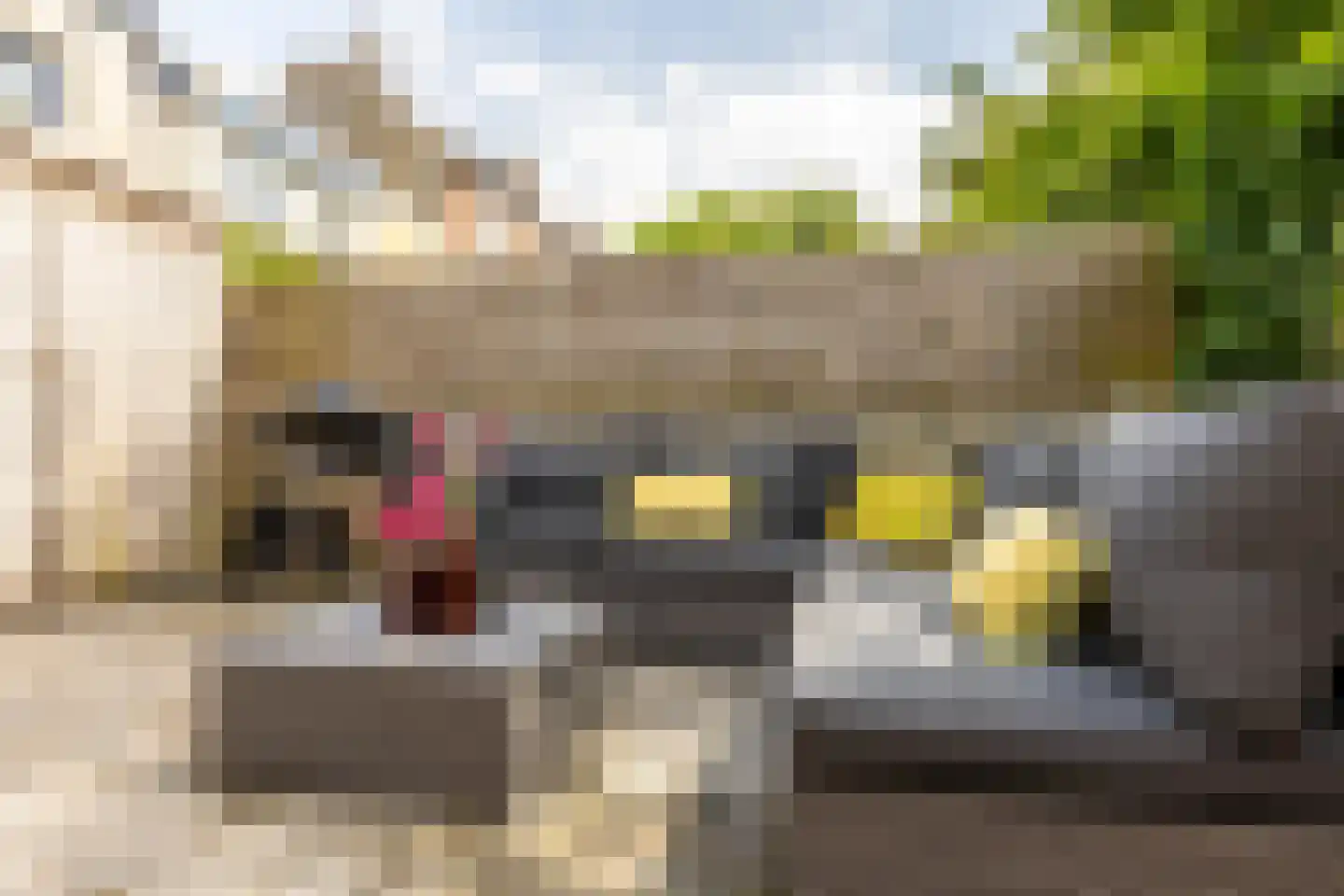 Havenstraatse Wal 8 Schoonhoven thumbnail 43