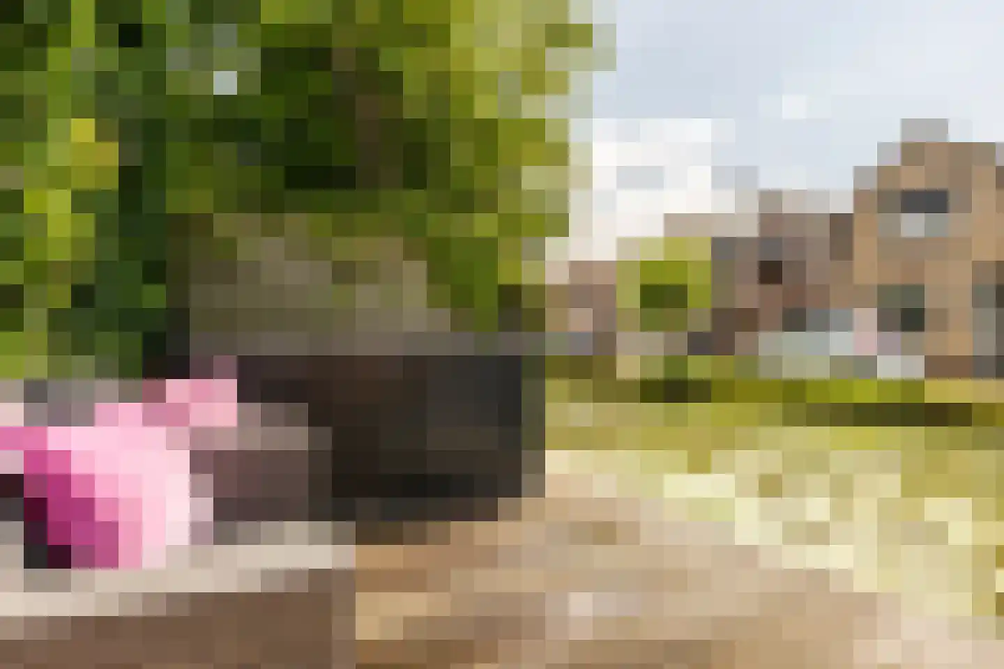 Havenstraatse Wal 8 Schoonhoven thumbnail 46