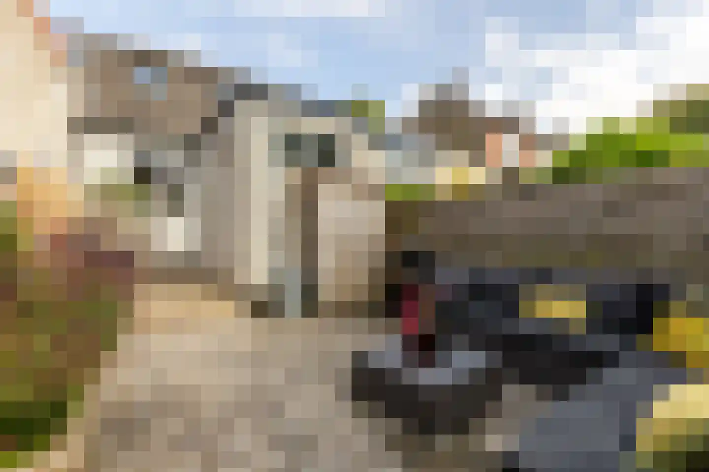 Havenstraatse Wal 8 Schoonhoven thumbnail 48