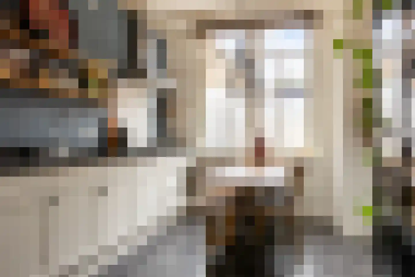 Havenstraatse Wal 8 Schoonhoven thumbnail 6
