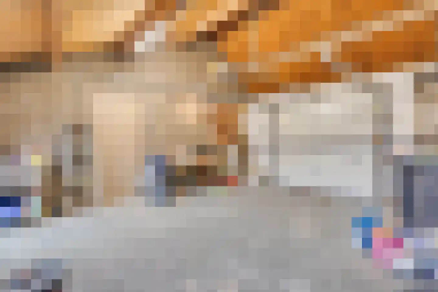 Havenweg 1 Dinteloord thumbnail 27