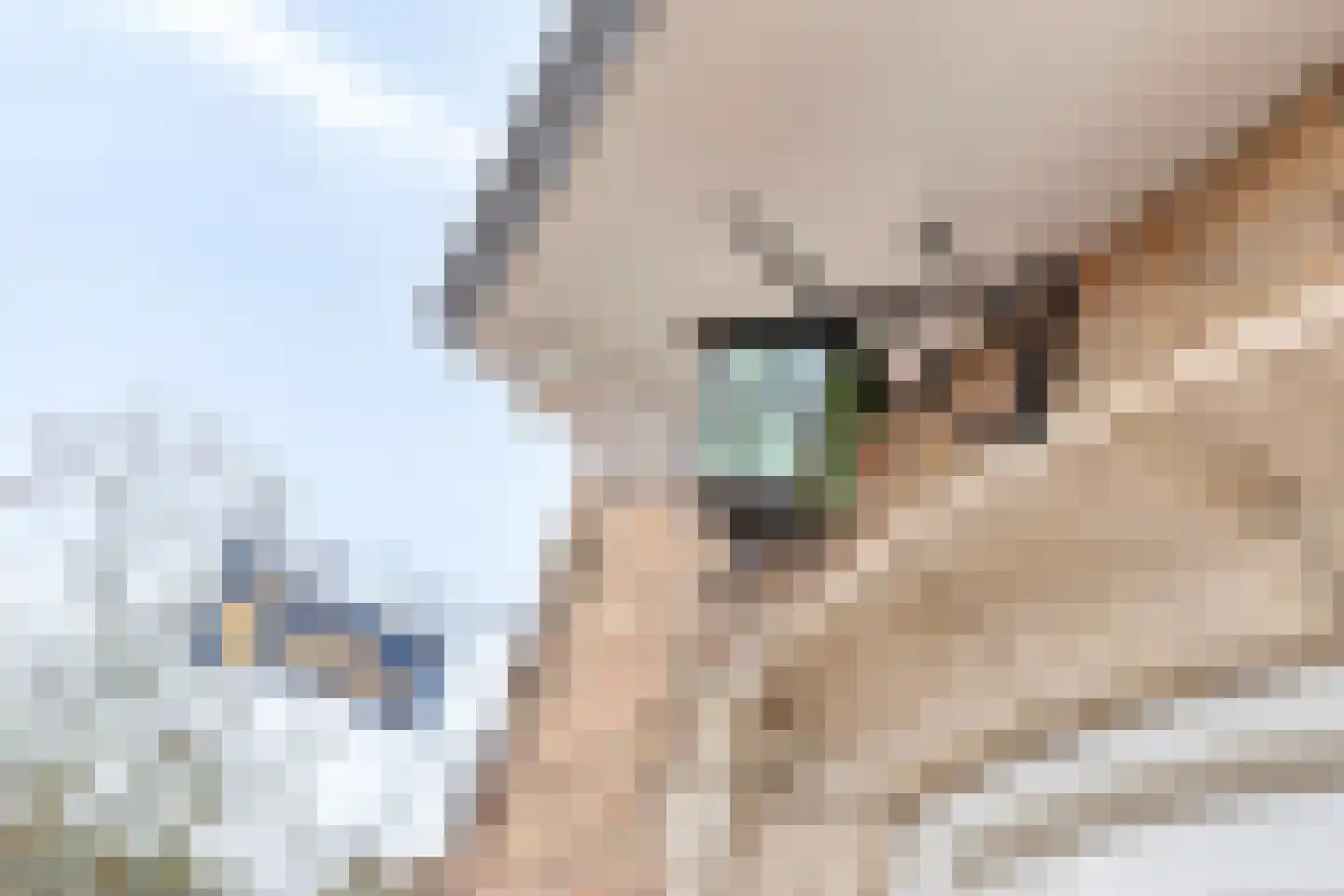 Havenweg 1 Dinteloord thumbnail 7