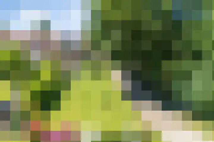 Havenweg 12 A Nagele thumbnail 10