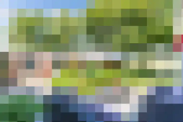 Havenweg 12 A Nagele thumbnail 26