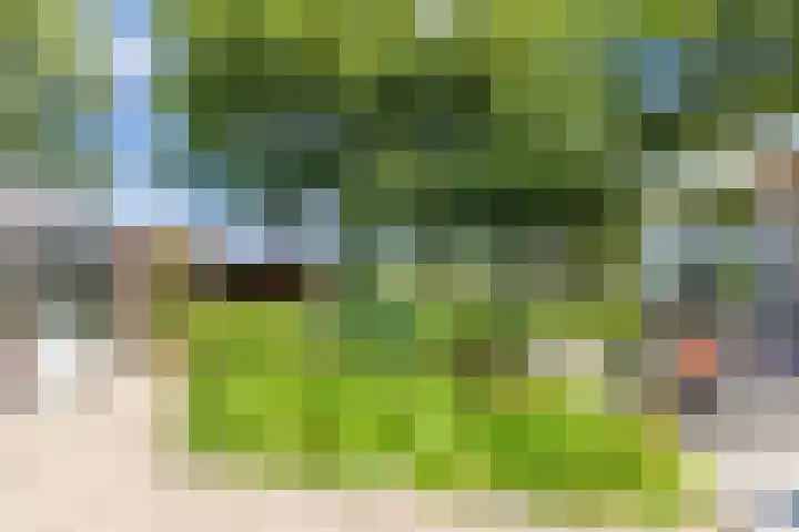 Havenweg 12 A Nagele thumbnail 27