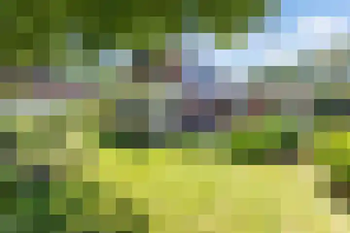 Havenweg 12 A Nagele thumbnail 29
