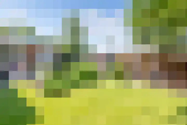 Havenweg 12 A Nagele thumbnail 30