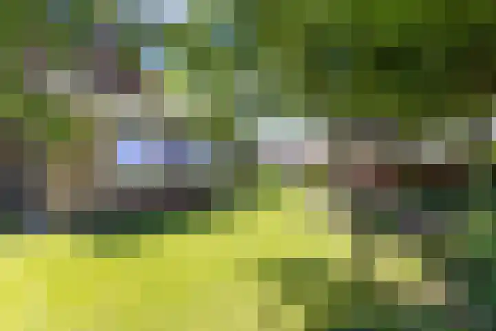 Havenweg 12 A Nagele thumbnail 31