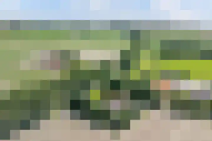 Havenweg 12 A Nagele thumbnail 35