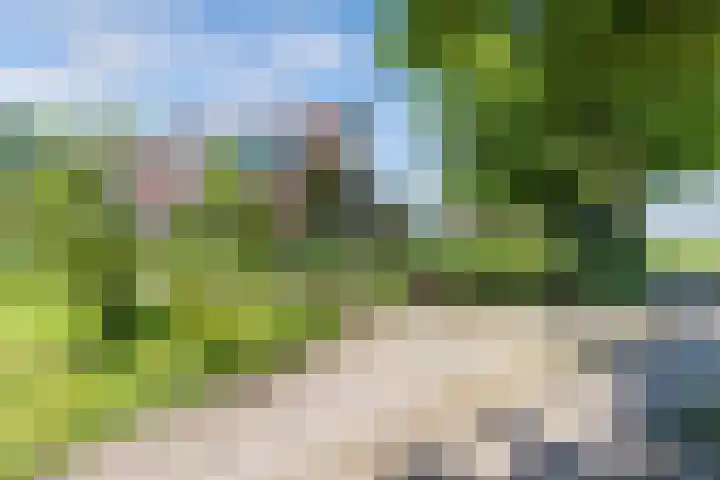 Havenweg 12 A Nagele thumbnail 5