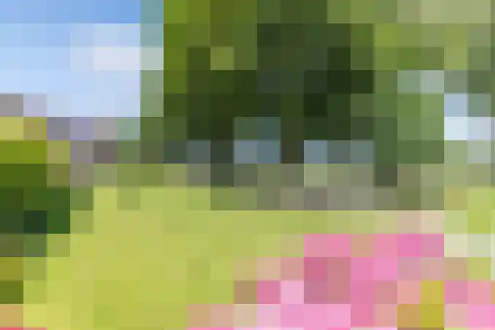 Havenweg 12 A Nagele thumbnail 6
