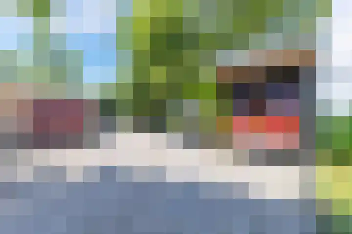 Havenweg 12 A Nagele thumbnail 8
