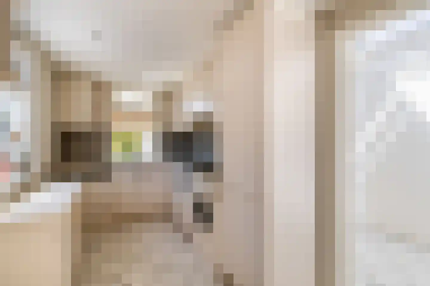 Havenweg 12 Ouddorp thumbnail 14