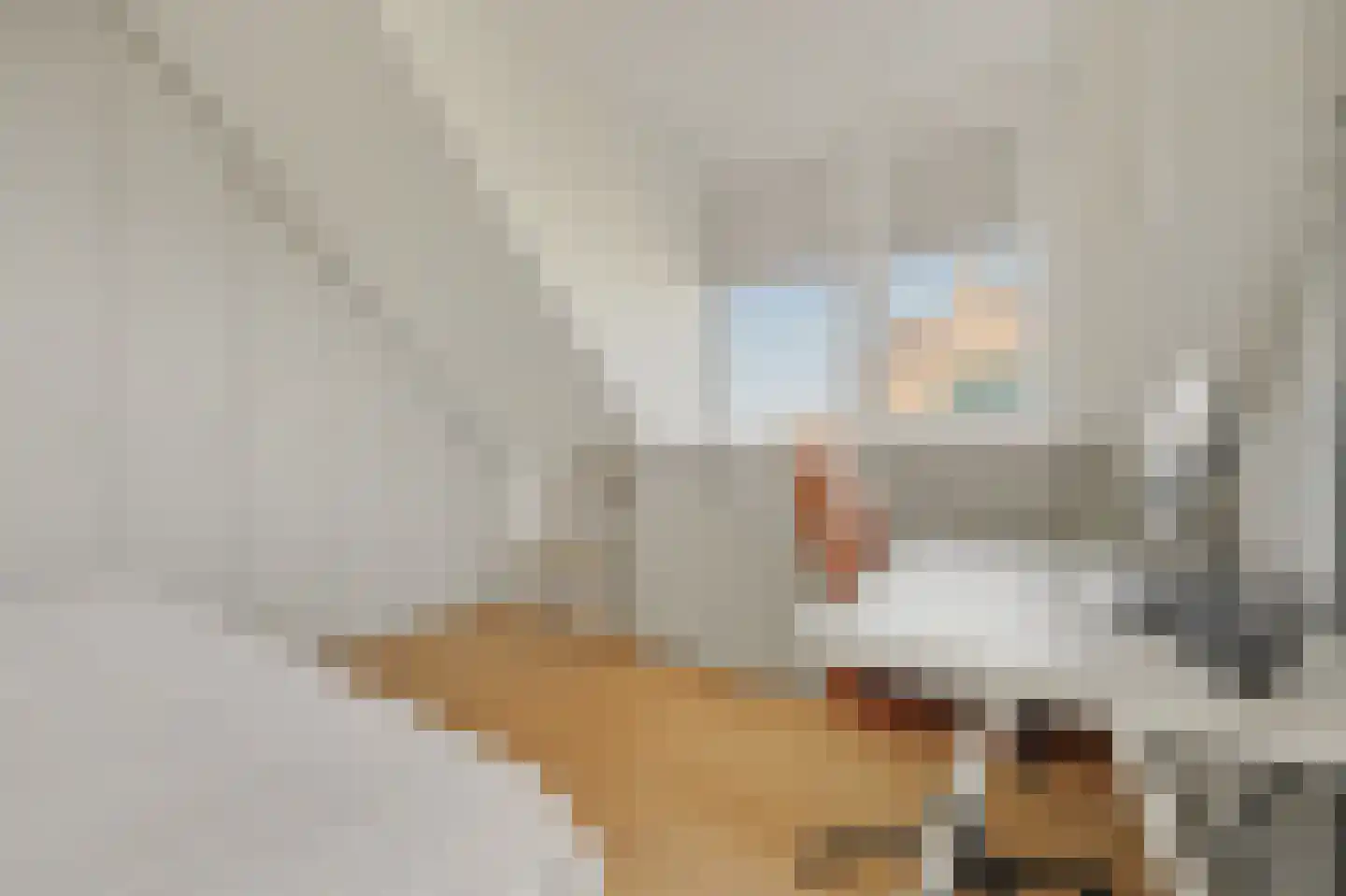 Havenweg 153 Sint-Annaland thumbnail 31