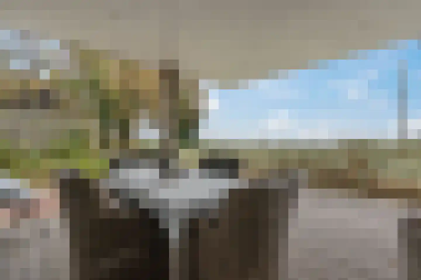 Havenweg 16 A Vlieland thumbnail 25