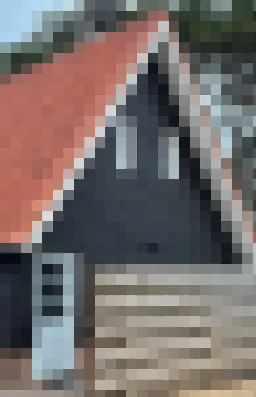 Havenweg 16 A Vlieland thumbnail 51