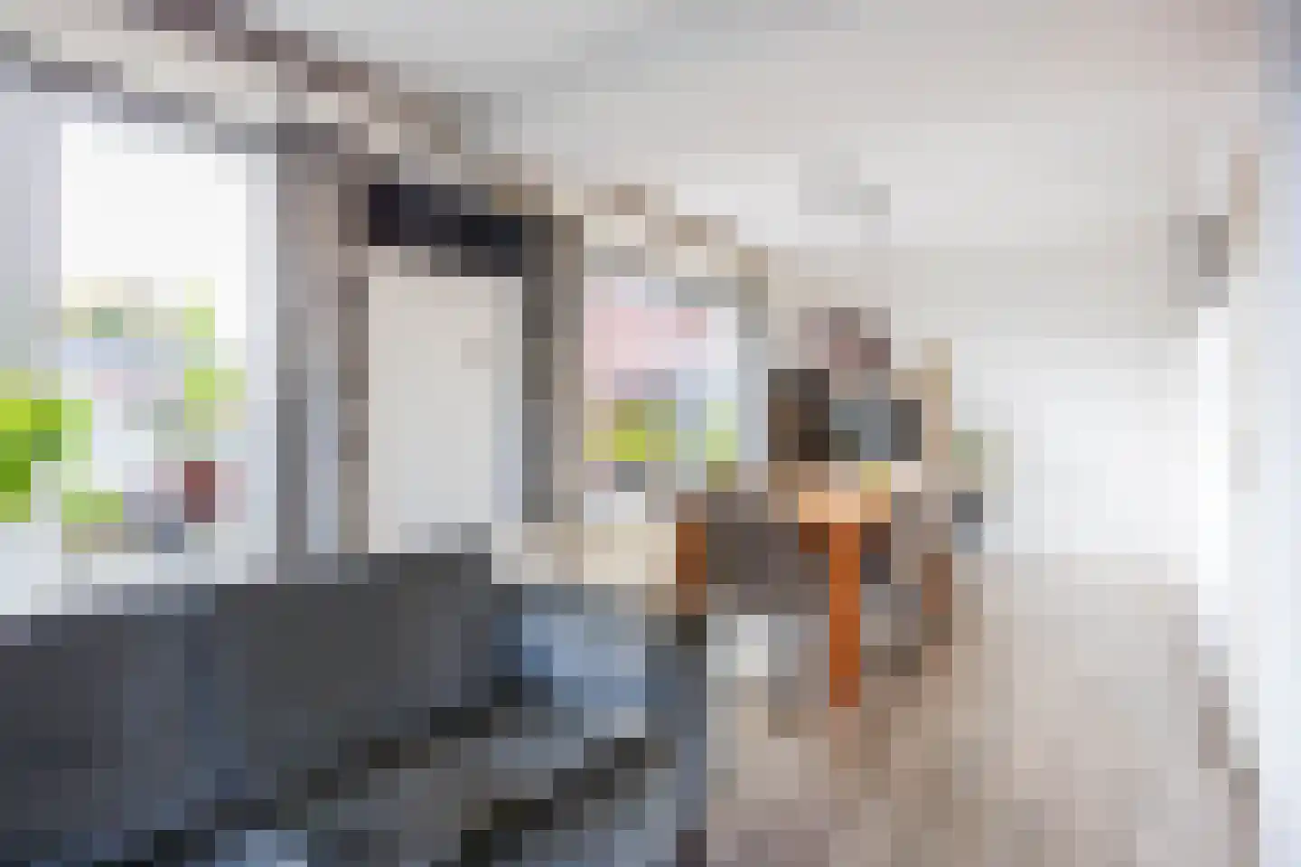 Havenweg 2 Uithuizen thumbnail 24