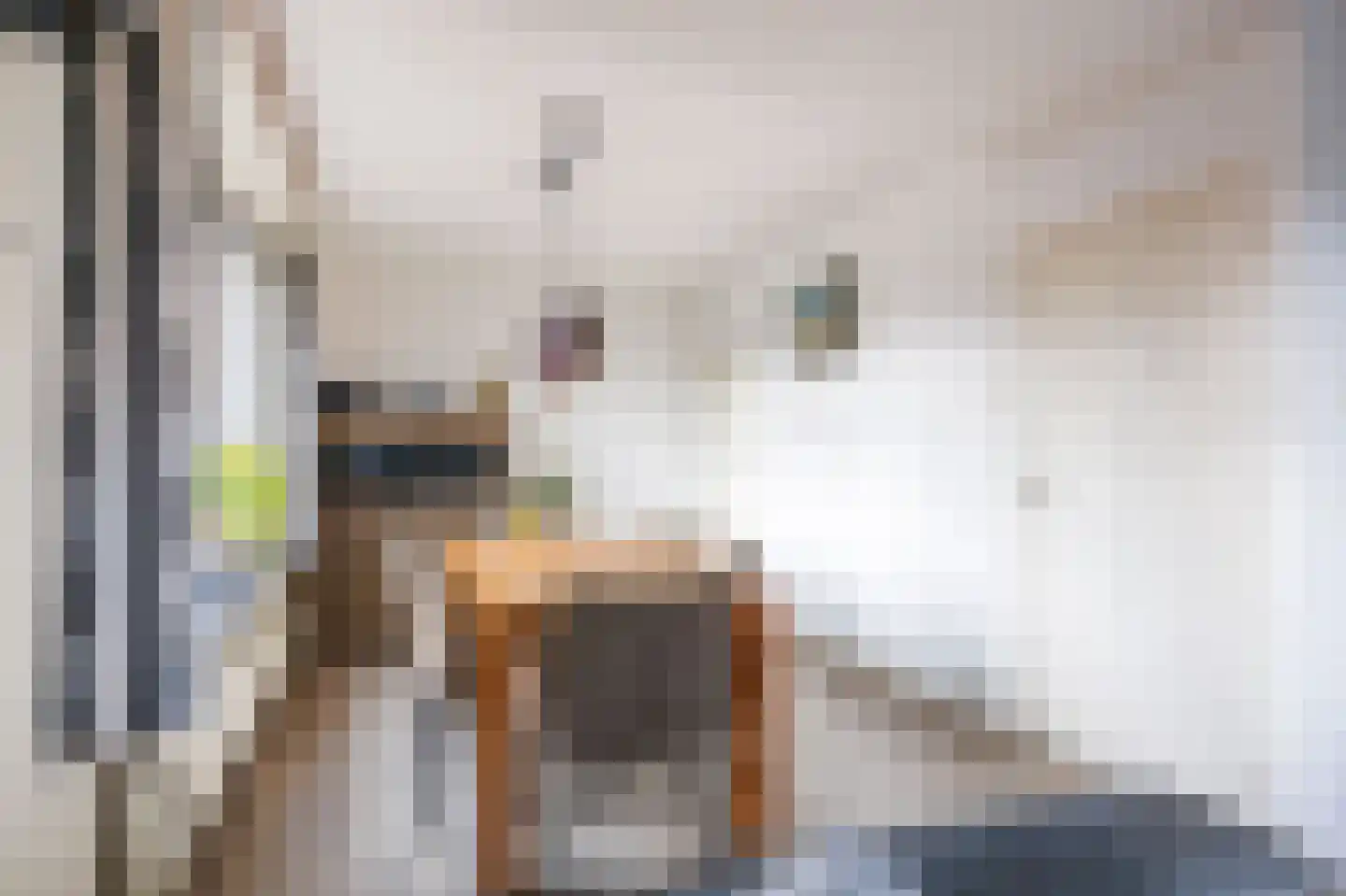 Havenweg 2 Uithuizen thumbnail 25