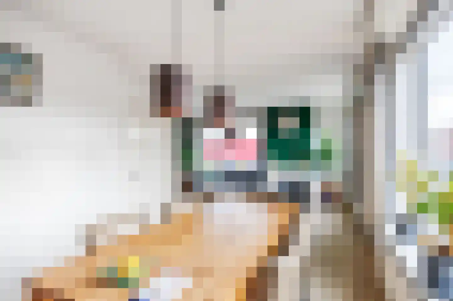 Havenweg 2 Uithuizen thumbnail 28