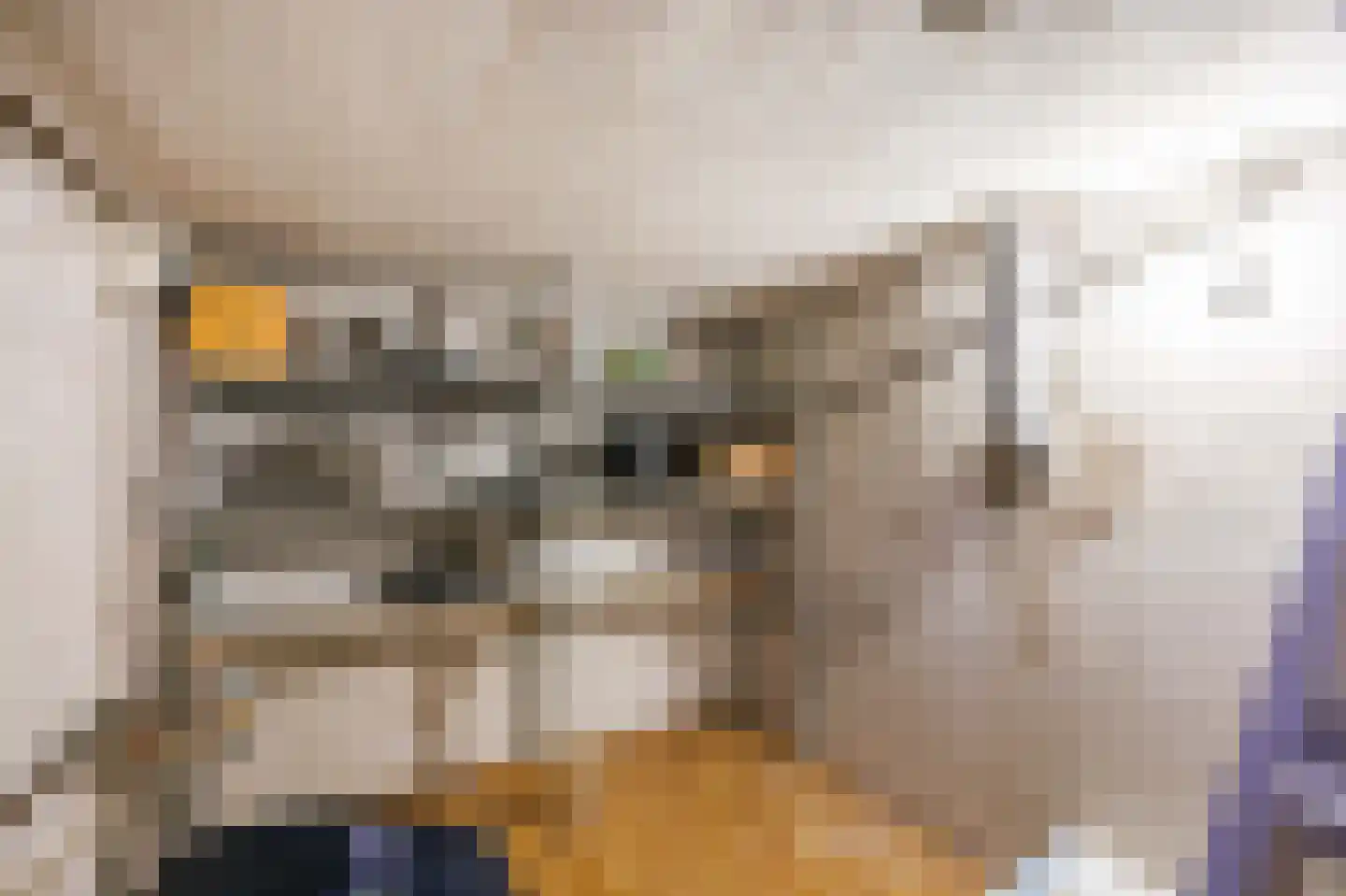 Havenweg 2 Uithuizen thumbnail 36