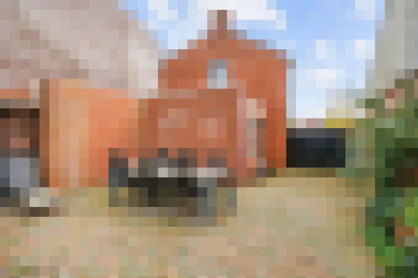 Havenweg 2 Uithuizen thumbnail 59