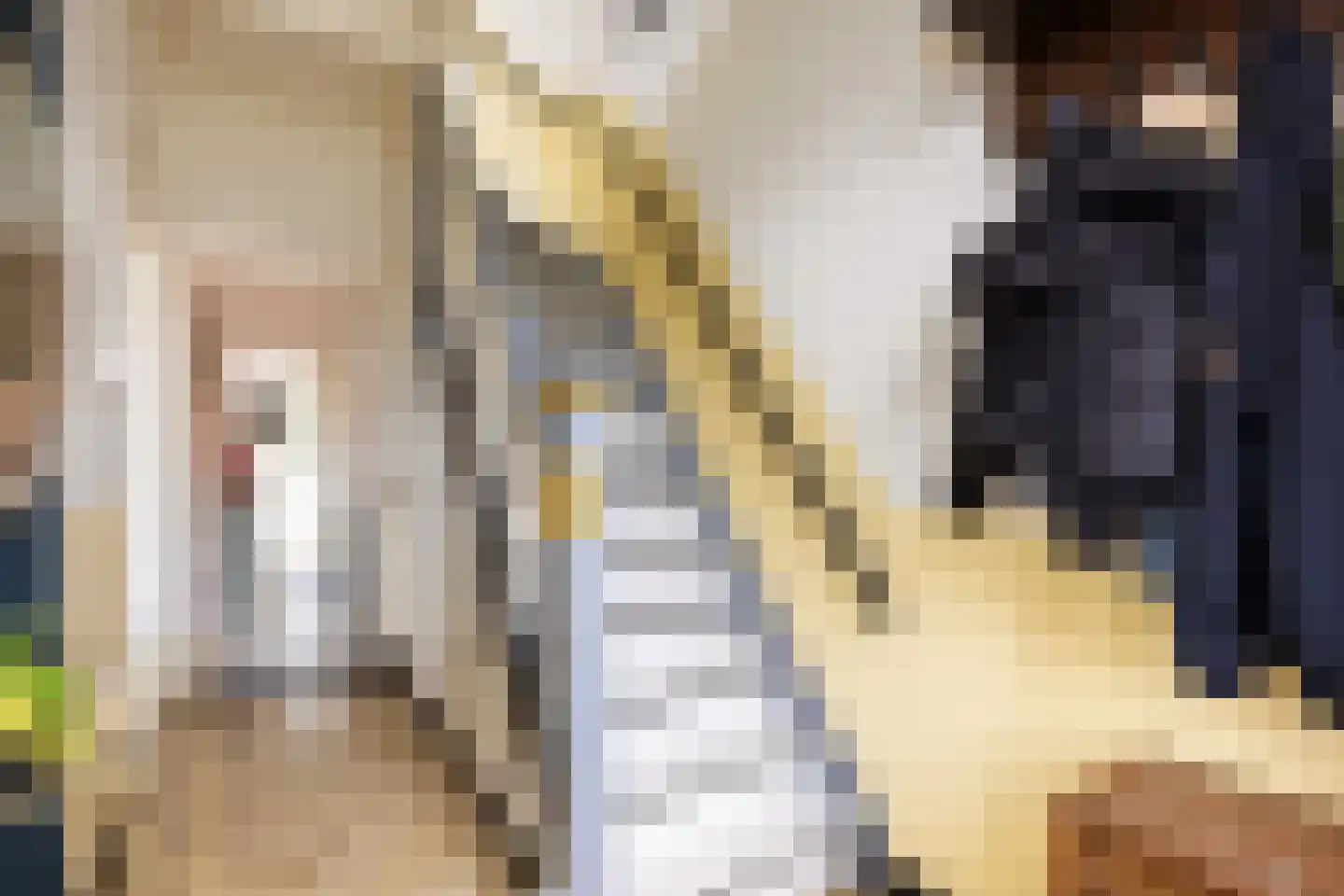 Havenweg 21 Uithuizen thumbnail 23