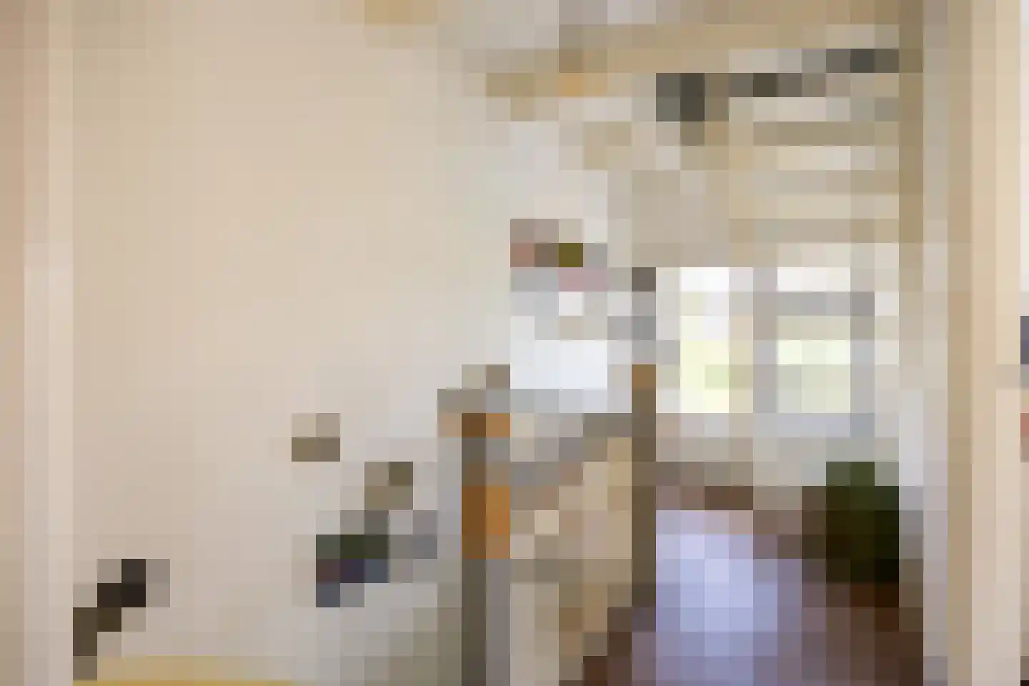 Havenweg 21 Uithuizen thumbnail 48