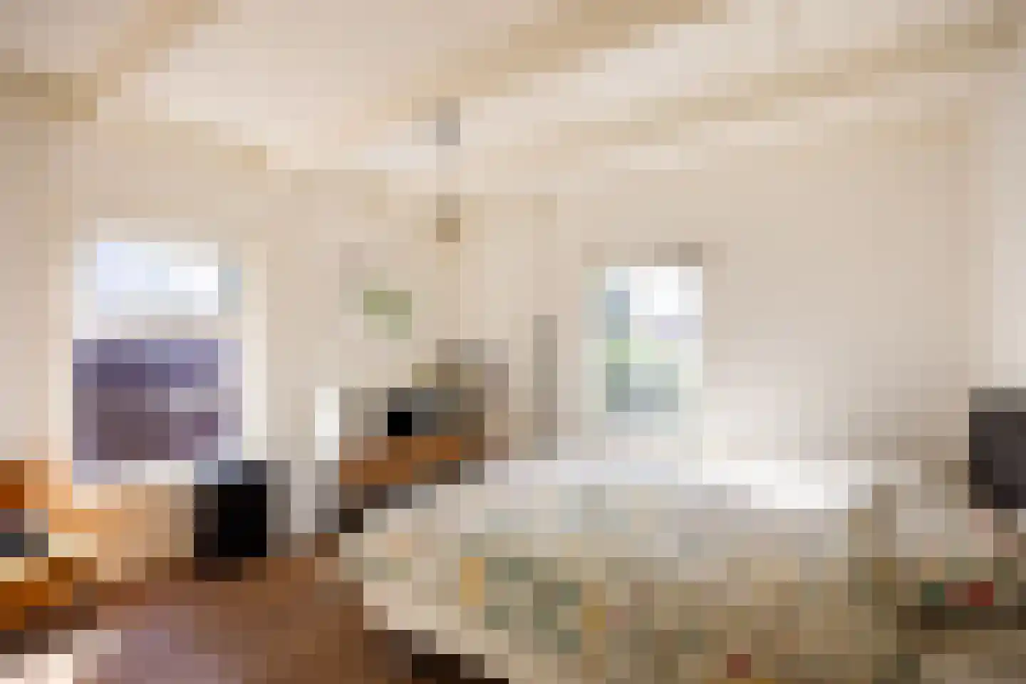 Havenweg 21 Uithuizen thumbnail 52
