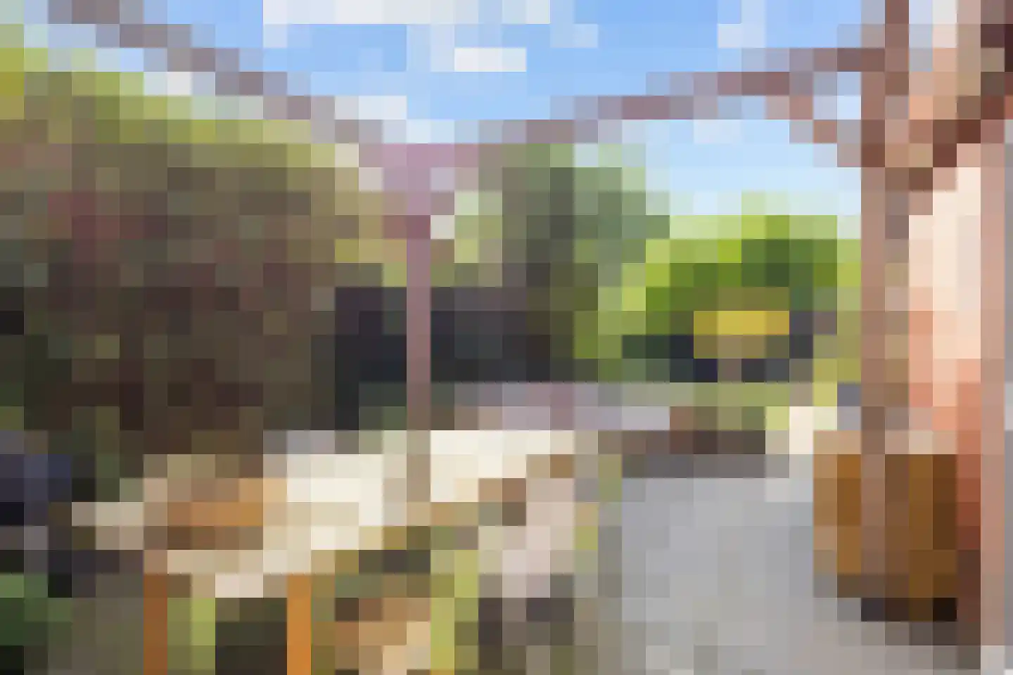 Havenweg 21 Uithuizen thumbnail 60