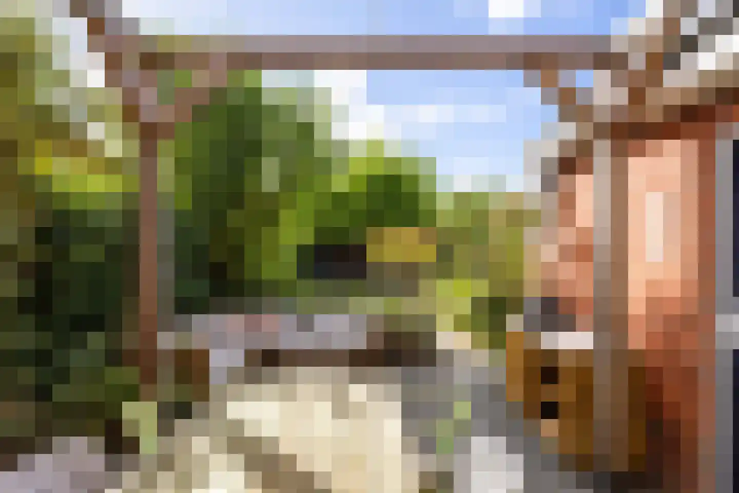 Havenweg 21 Uithuizen thumbnail 61